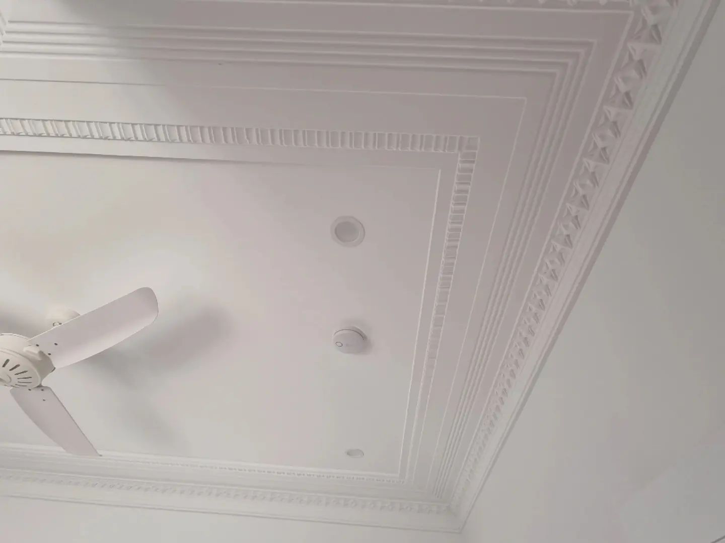 340496589_1568388490304600_1653805166057633396_n